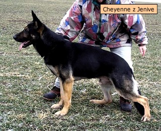 Cheyenne - postoj