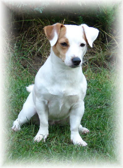 Eimy - JRT 
