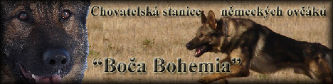 Chovatelsk stanice nmeckch ovk - Boa Bohemia