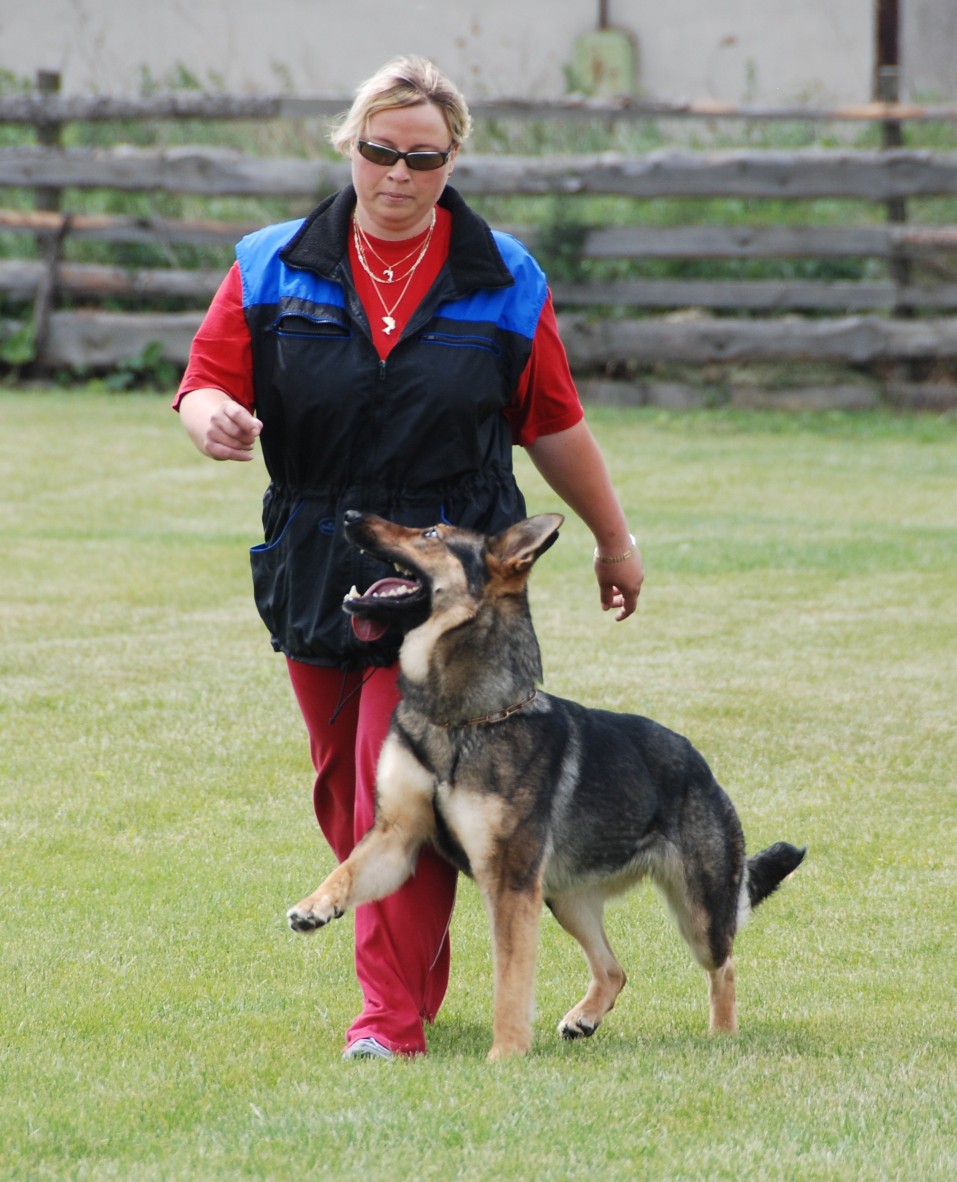 erven 2007
