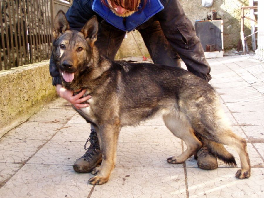 Lucky Niox - postoj