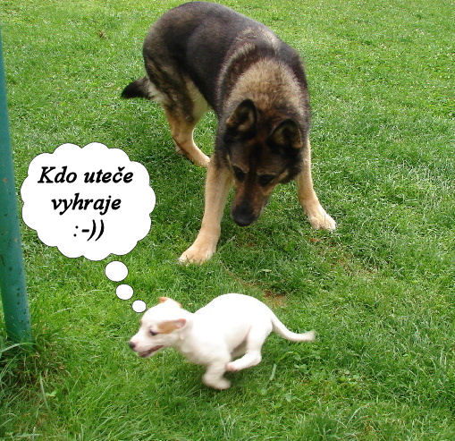 kdo utee, vyhraje :-))