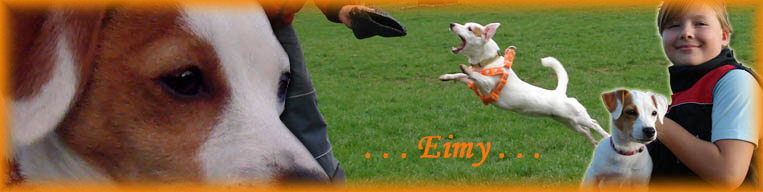 Eimynka a Terezka . . . . . . 