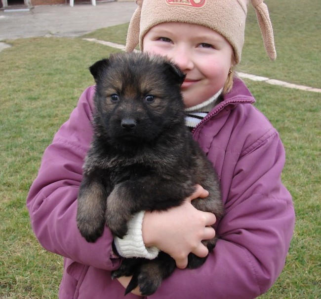 fenka