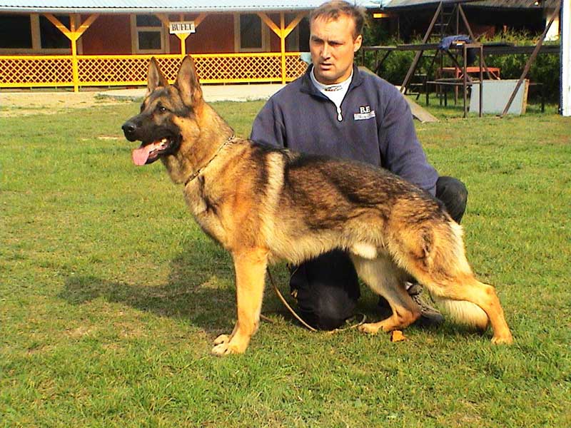 Vasco Vikar - postoj