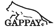 Gappay
