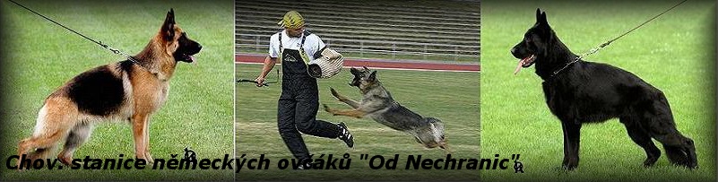Chov. stanice nmeckch ovk "Od Nechranic"