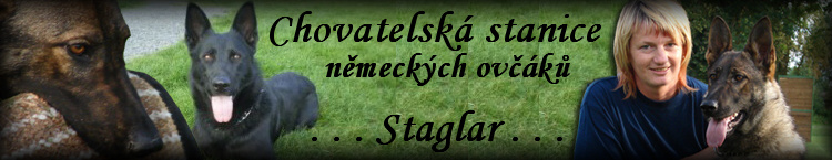 Chovatelsk stanice NO