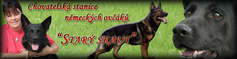 CH.S. Nmeckch ovk "Star Skaut"